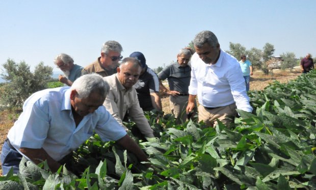 MANİSA SÜT ÜRETİCİLERİ BİRLİĞİ BAŞKANI ÜRETİCİLER İLE BİR ARAYA GELDİ