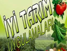 İYİ TARIM UYGULAMALARI DESTEKLERİ ÖDENİYOR